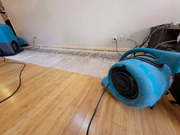 Professional Ceiling Water Damage Repair technician working in Gallant, AL